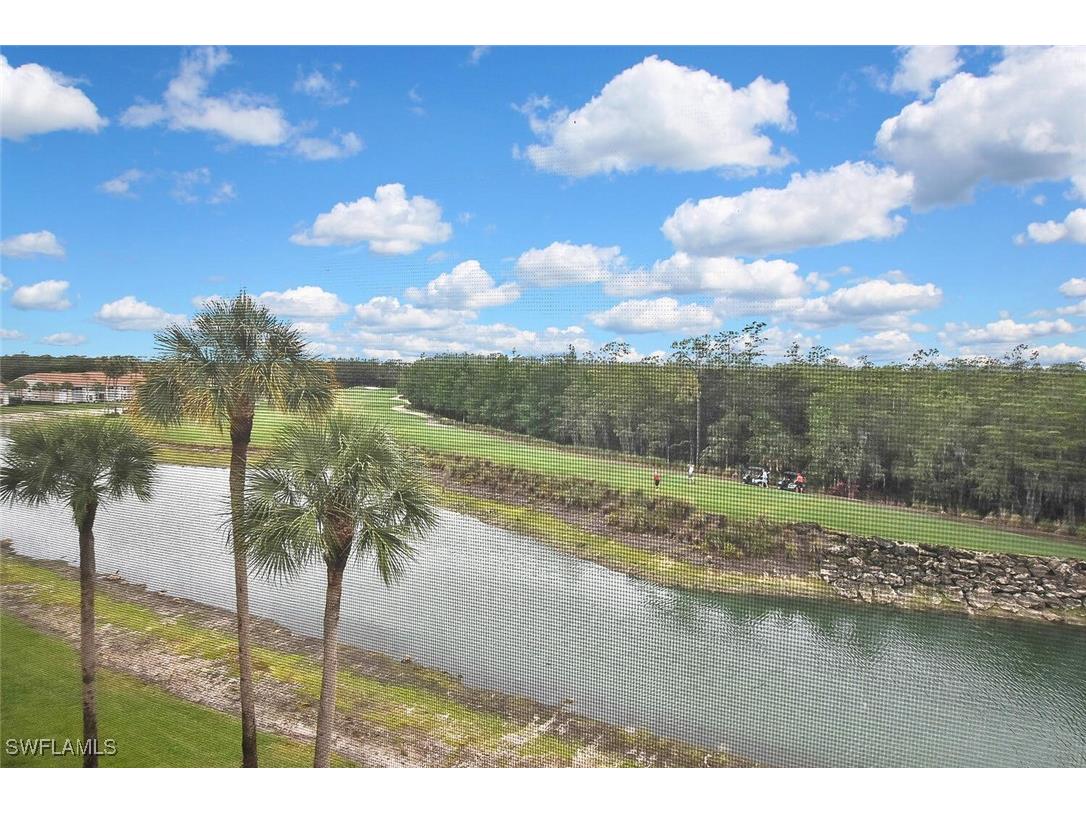 3830 Sawgrass Way #2946 Naples FL 34112 225077625 image40