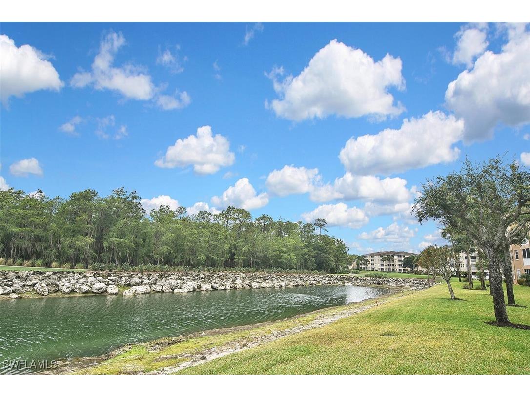 3830 Sawgrass Way #2946 Naples FL 34112 225077625 image47