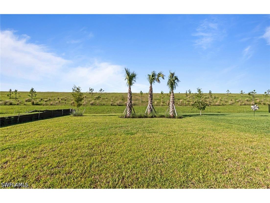 3849 Passion Vine Drive Alva FL 33920 226024498 image31