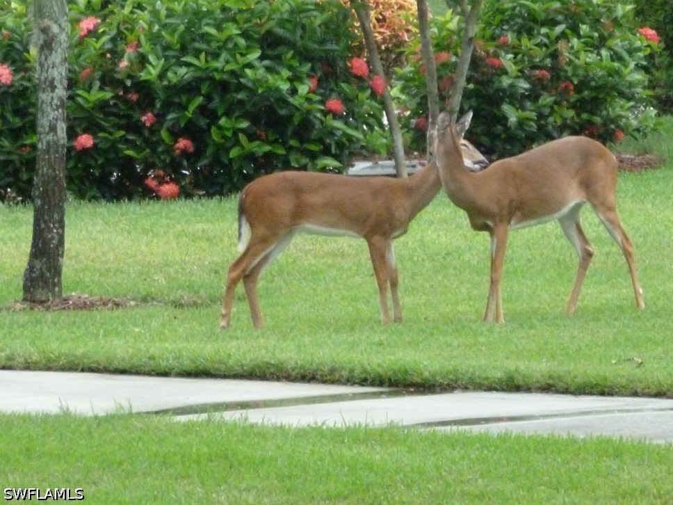 3850 Sawgrass Way #2715 Naples FL 34112 226017224 image34