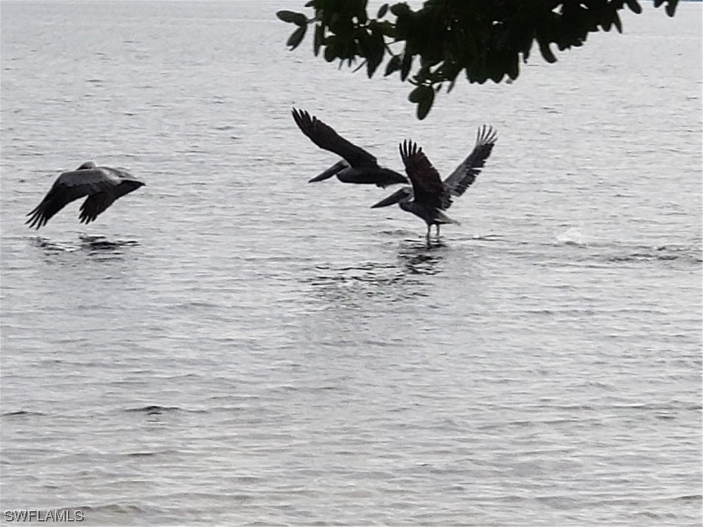 3853 Citrus Street Saint James City FL 33956 223044912 image3