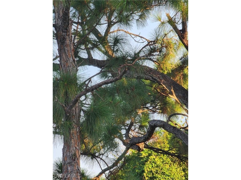 3853 Citrus Street Saint James City FL 33956 223044912 image4