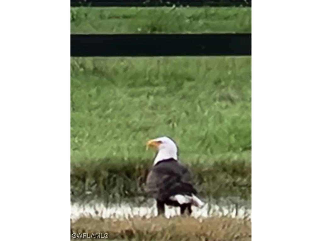 3853 Citrus Street Saint James City FL 33956 223044912 image5