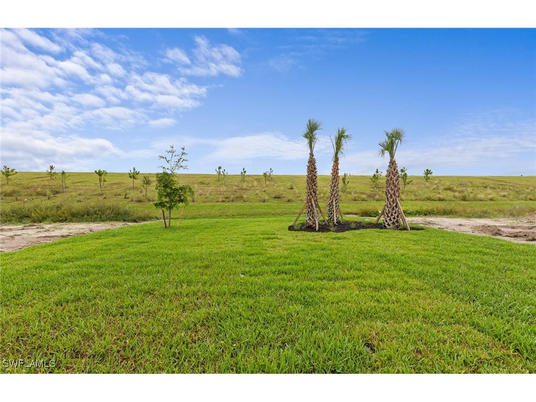 3861 Passion Vine Drive Alva FL 33920 225068005 image20