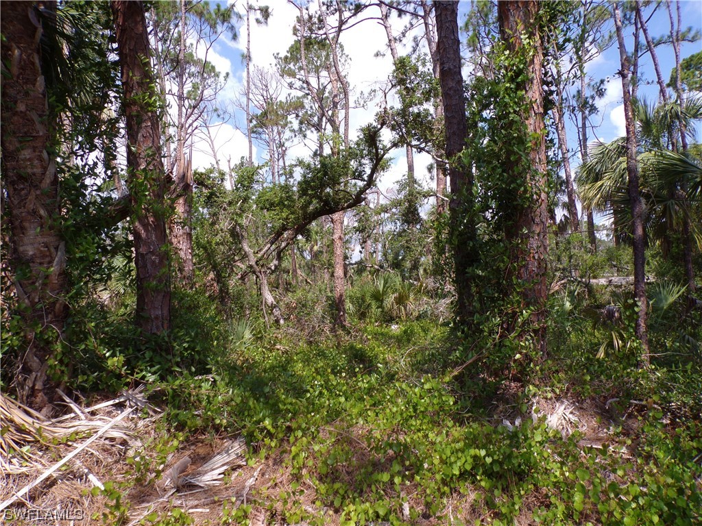 387 Mcdill Drive Port Charlotte FL 33953 223044725 image1