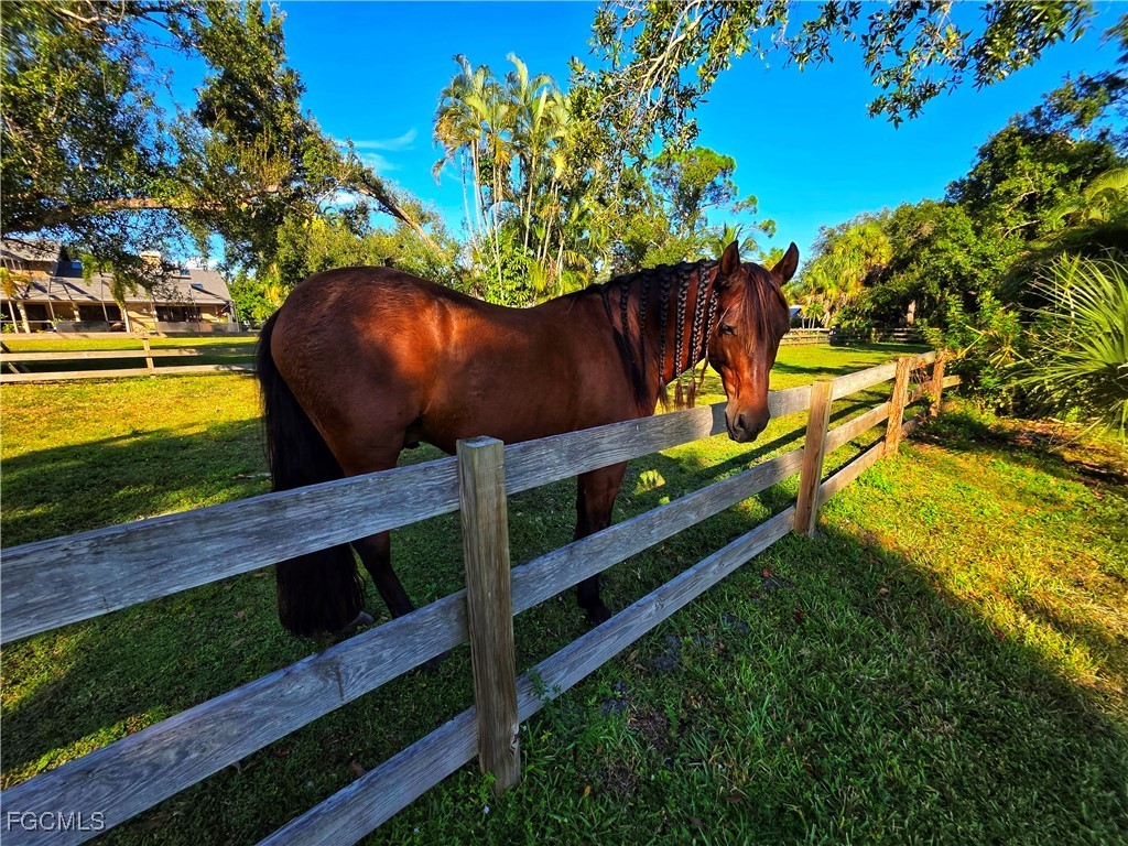 3879 Hidden Acres Circle S North Fort Myers FL 33903 2025019776 image49