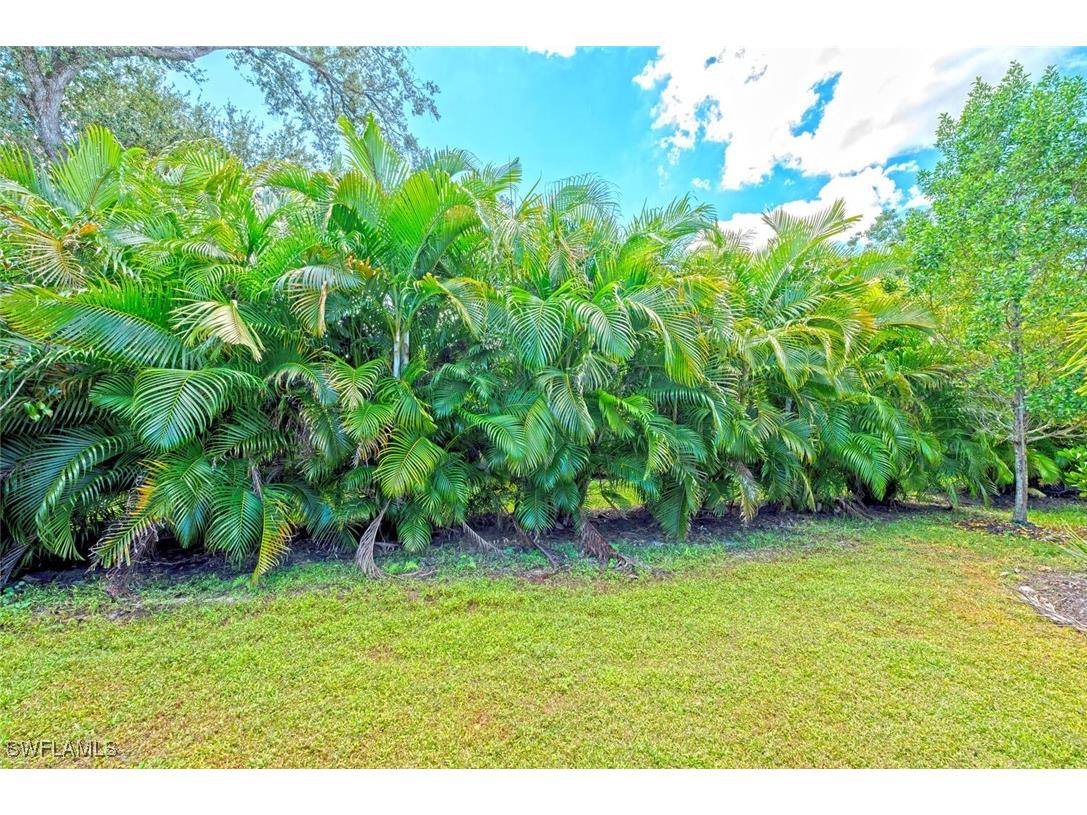 388 Grace Bay Lane Naples FL 34114 225075403 image24