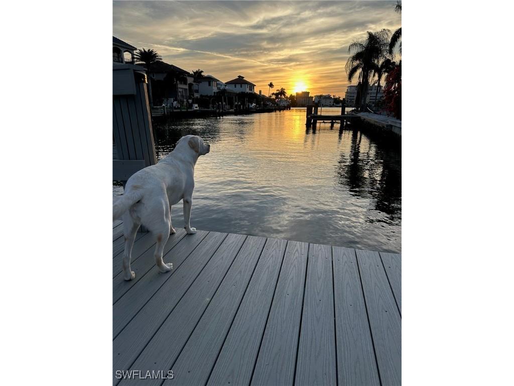 388 Pine Avenue Naples FL 34108 225075287 image42