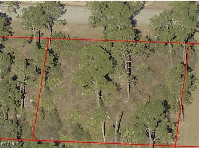 3902 E 11th Street Lehigh Acres FL 33972 2025021994 image1