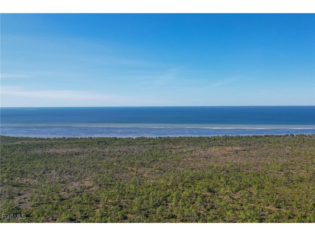 3905 Caloosa Parkway N Cape Coral FL 33993 2025025336 image11