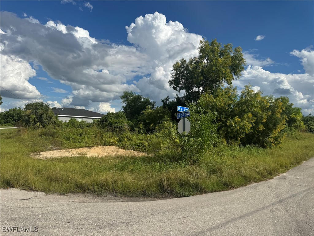 3913 14th Street SW Lehigh Acres FL 33976 225072088 image1