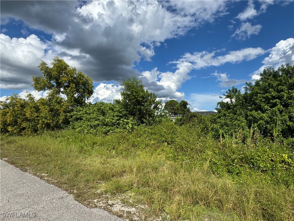 3913 14th Street SW Lehigh Acres FL 33976 225072088 image4