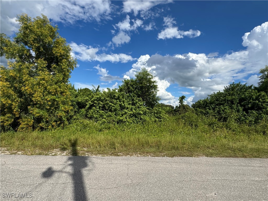 3913 14th Street SW Lehigh Acres FL 33976 225072088 image6