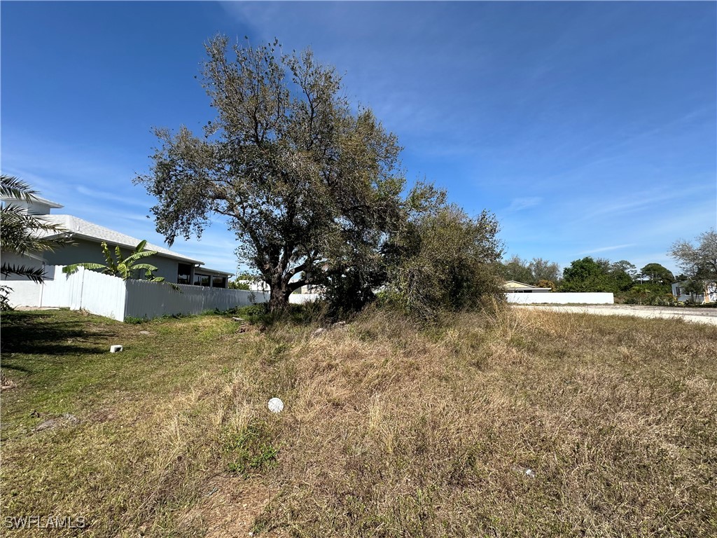 3916 8th Street SW Lehigh Acres FL 33976 225019929 image1