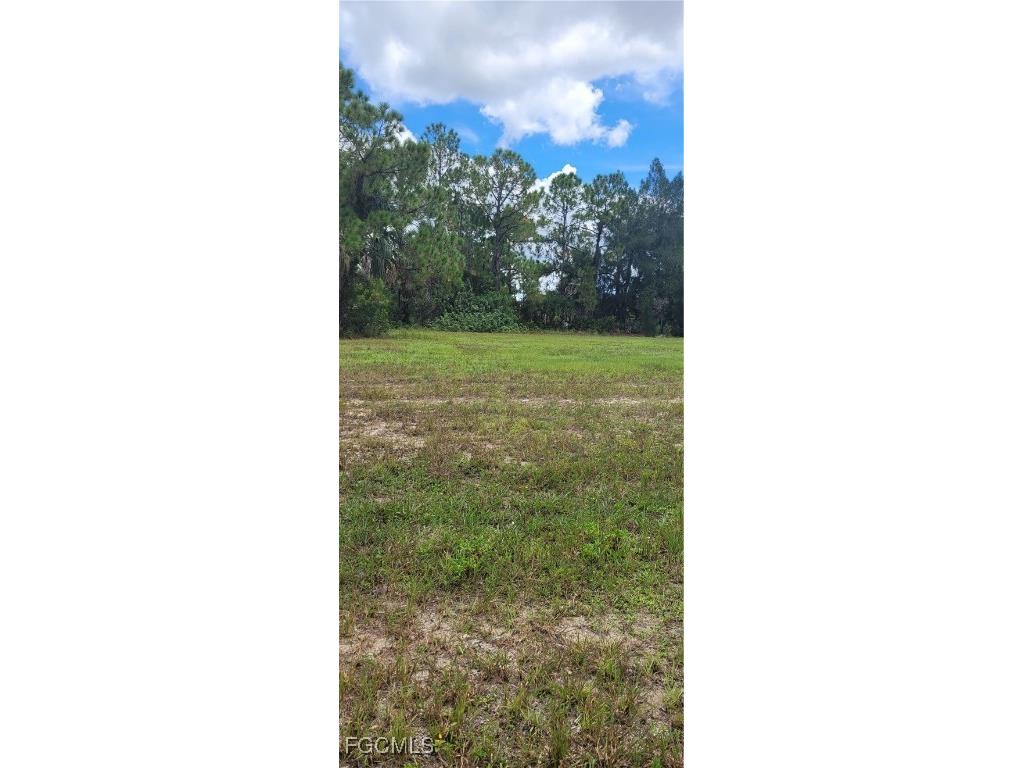 3917 NE 19th Avenue Cape Coral FL 33909 2025005934 image2