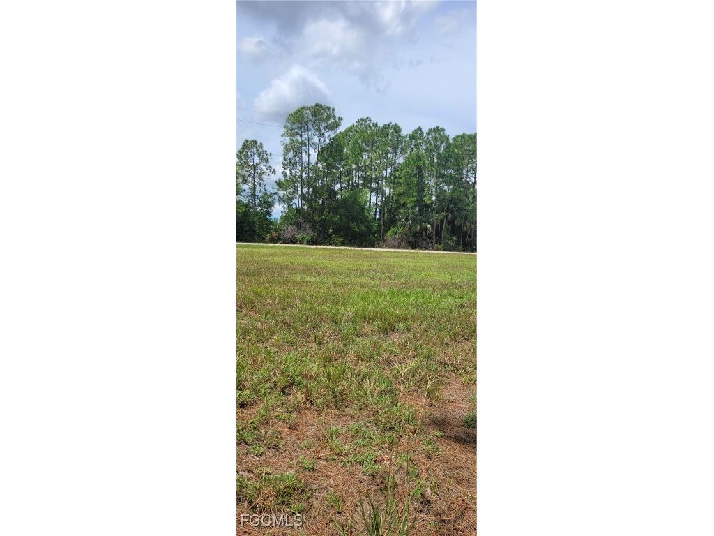 3917 NE 19th Avenue Cape Coral FL 33909 2025005934 image3