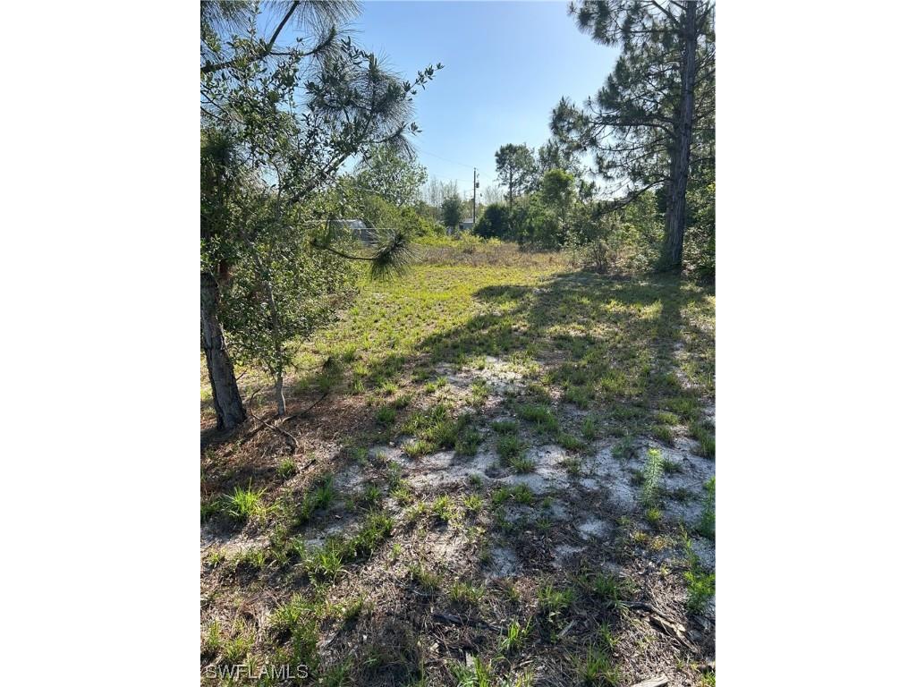 3918 Lee Boulevard Lehigh Acres FL 33971 223033085 image1