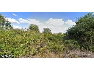 3922 21st Street W Lehigh Acres FL 33971 226020296 image1