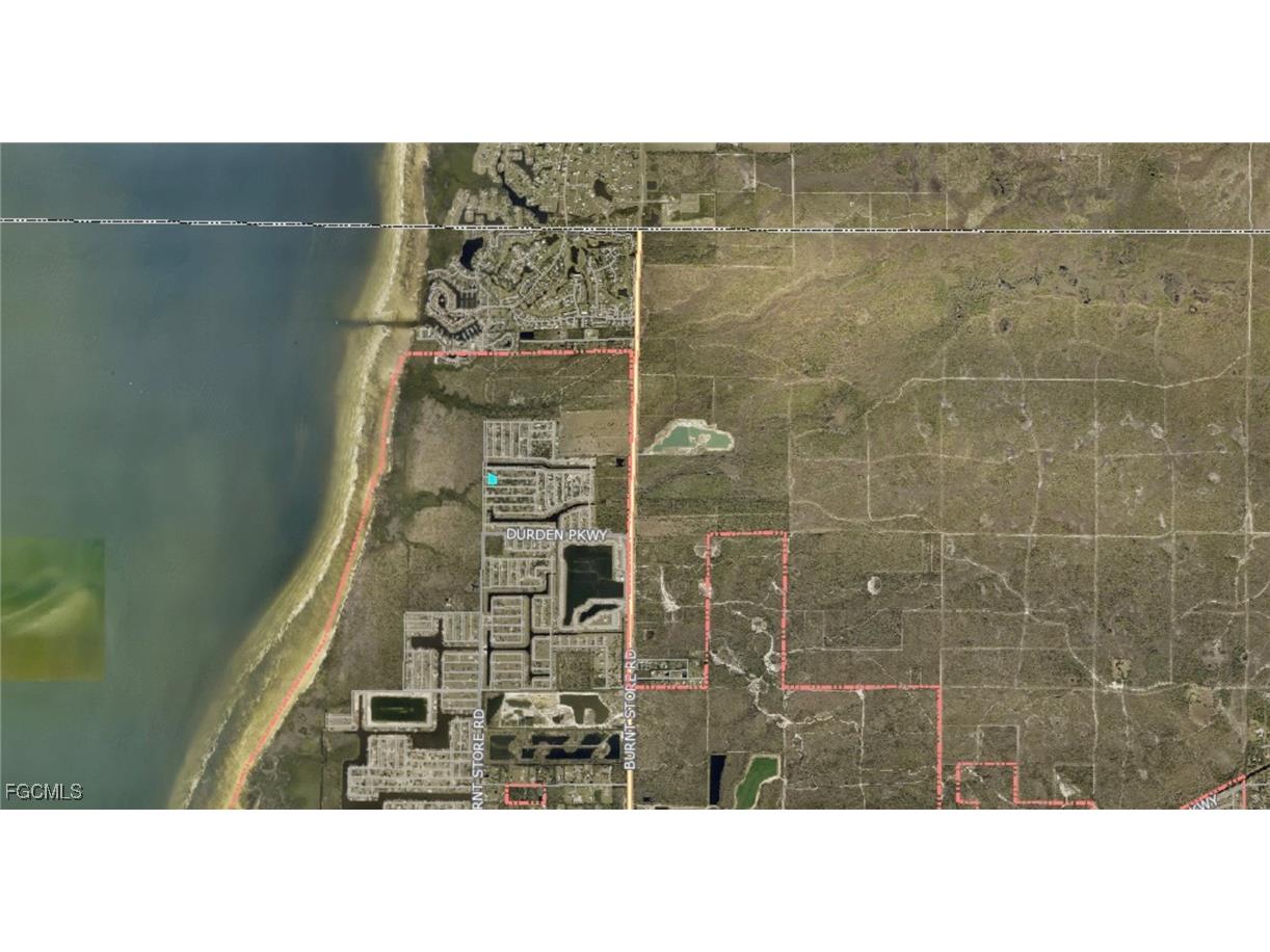 3928 NW 46th Terrace Cape Coral FL 33993 2025000553 image1