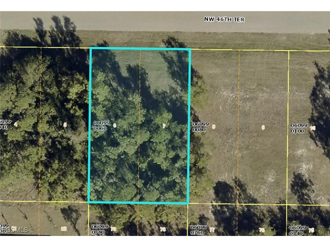 3928 NW 46th Terrace Cape Coral FL 33993 2025000553 image2