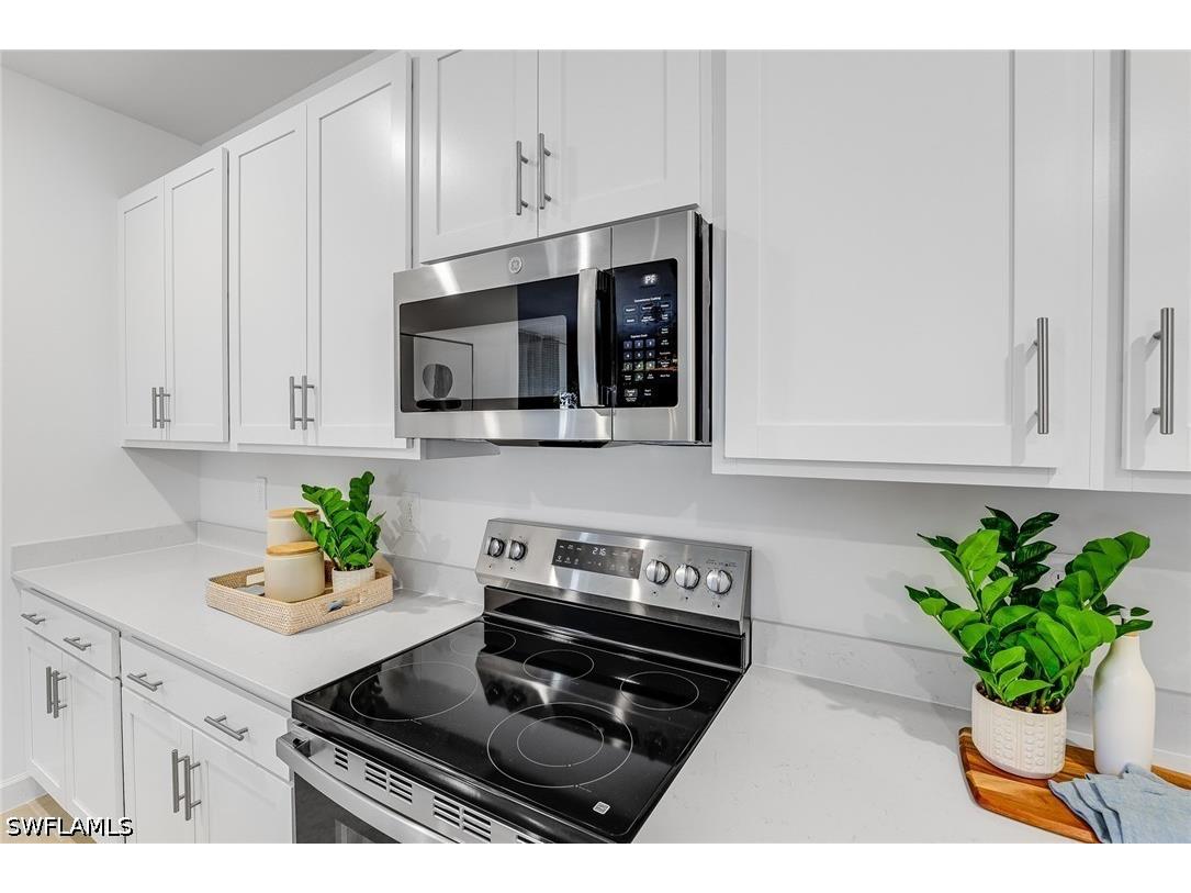 3929 Passion Vine Drive Alva FL 33920 226016415 image6