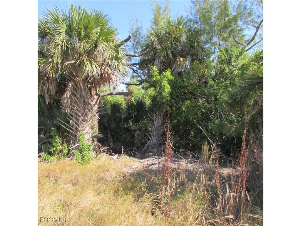 3960 4026 4072 Stringfellow Road Saint James City FL 33956 2025020083 image7