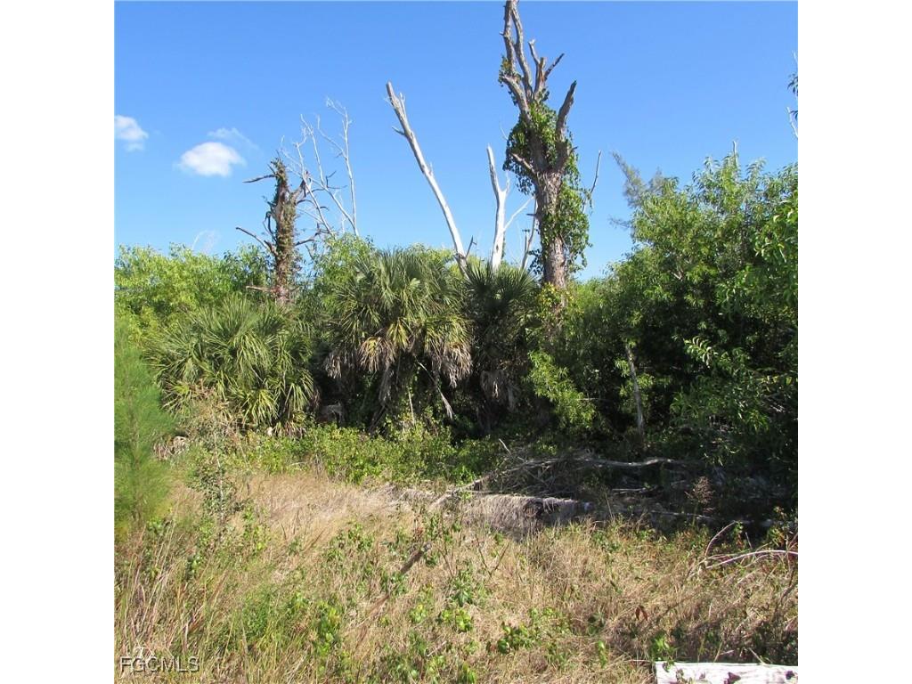 3960 4026 4072 Stringfellow Road Saint James City FL 33956 2025020083 image8