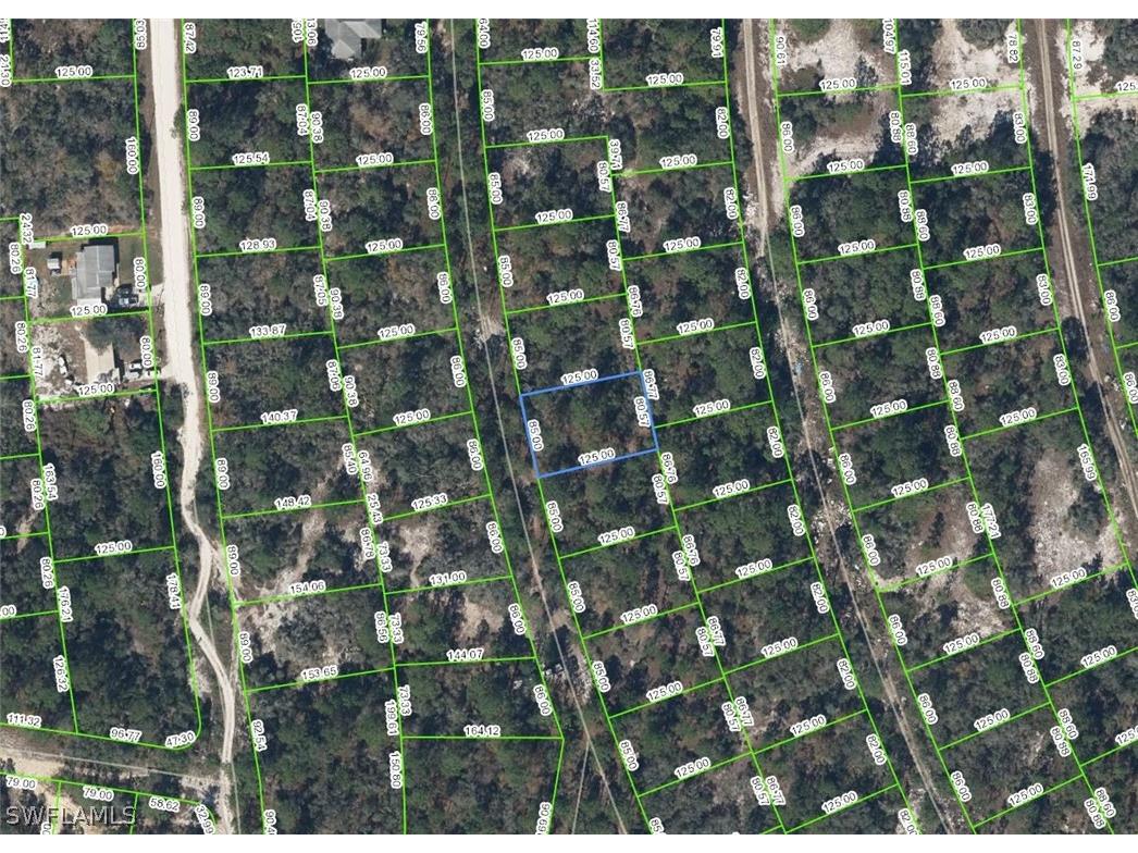 397 Blue Horizon Drive Lake Placid FL 33852 224040602 image1