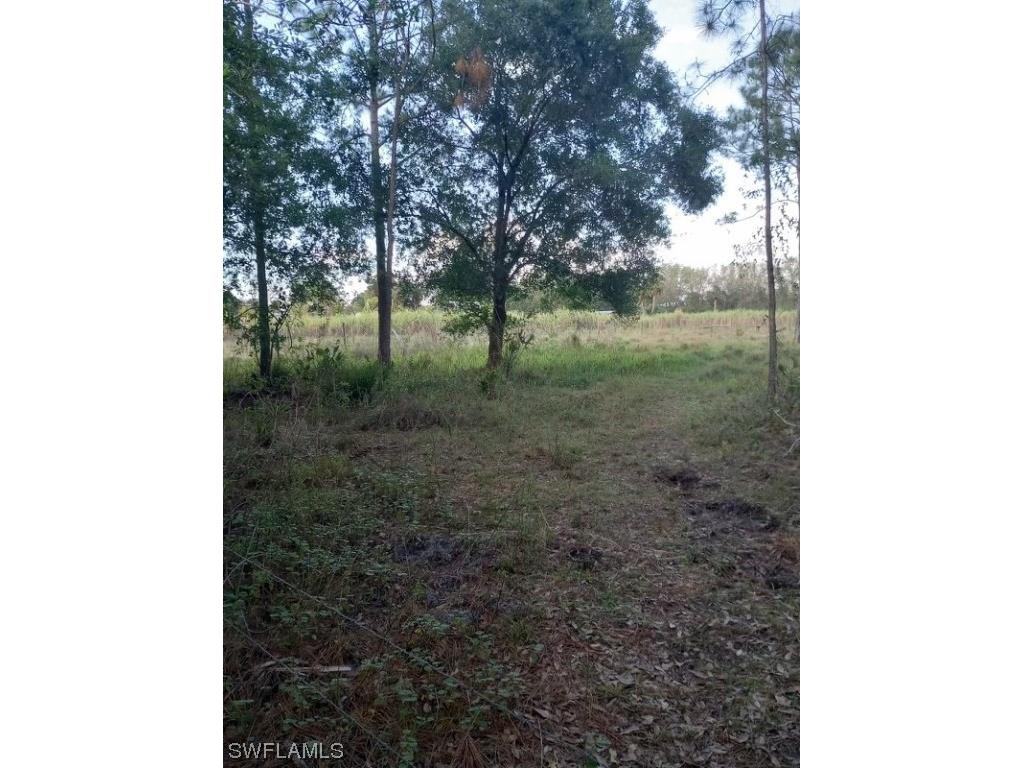 397 Tampa Avenue Clewiston FL 33440 223034241 image1