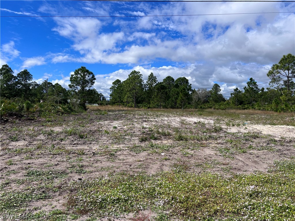 398-400 Bell Boulevard S Lehigh Acres FL 33974 223087823 image1