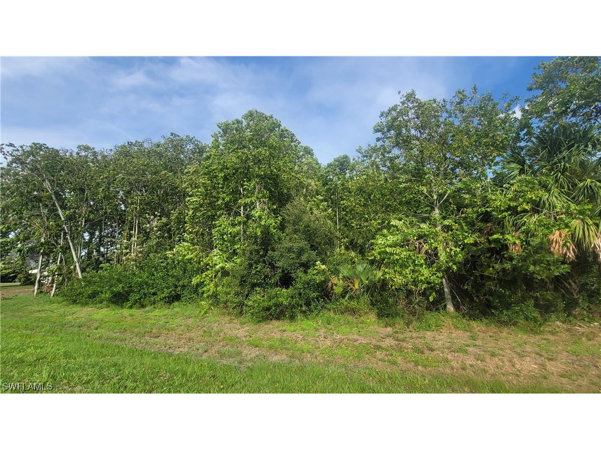 3980 Indian Hills Drive SW Moore Haven FL 33471 223075495 image1