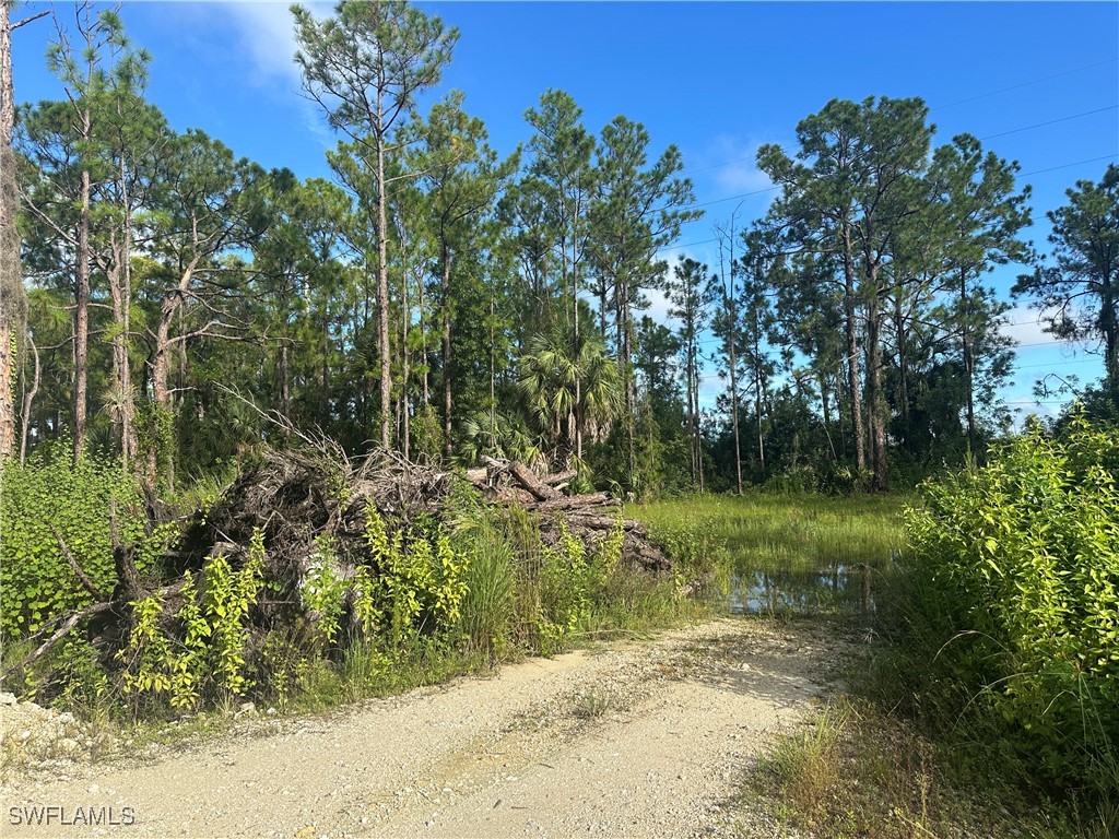 3983 33rd Avenue NE Naples FL 34120 225070720 image3