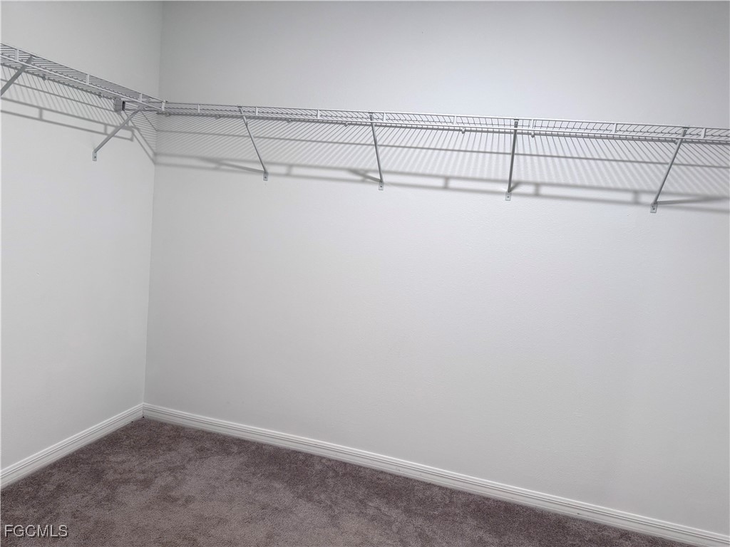 39889 NW Harmon Grove Court Zephyrhills FL 33540 2025005839 image20