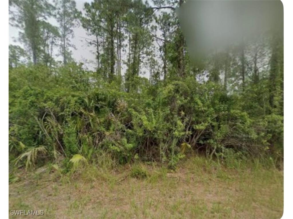 4 Johns Avenue Lehigh Acres FL 33936 225039935 image1