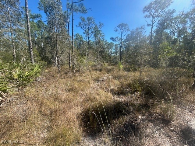 4 NE 1st Road Cape Coral FL 33993 225079013 image6