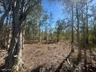 4 NE 1st Road Cape Coral FL 33993 225079013 image7