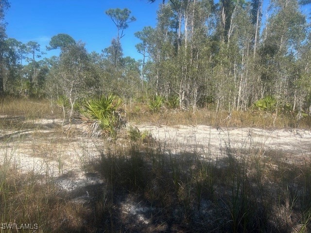 4 NE 1st Road Cape Coral FL 33993 225079013 image9