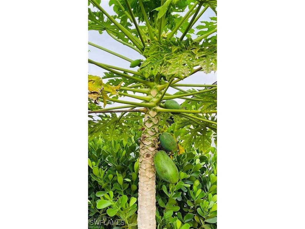 4 Palm Boulevard Lehigh Acres FL 33936 225062591 image28