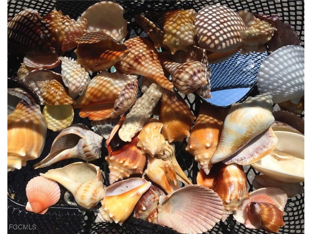 400 Rabbit Road Sanibel FL 33957 2025025058 image23