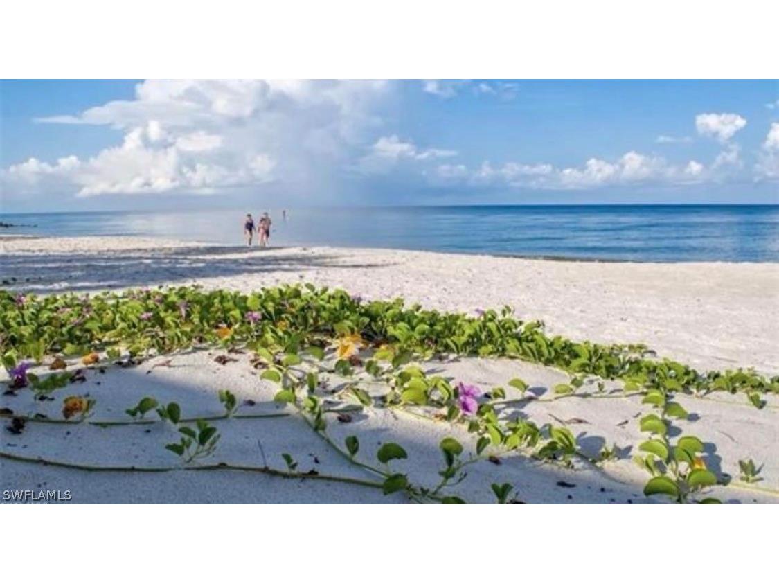 400 Wedge Drive Naples FL 34103 225068385 image12