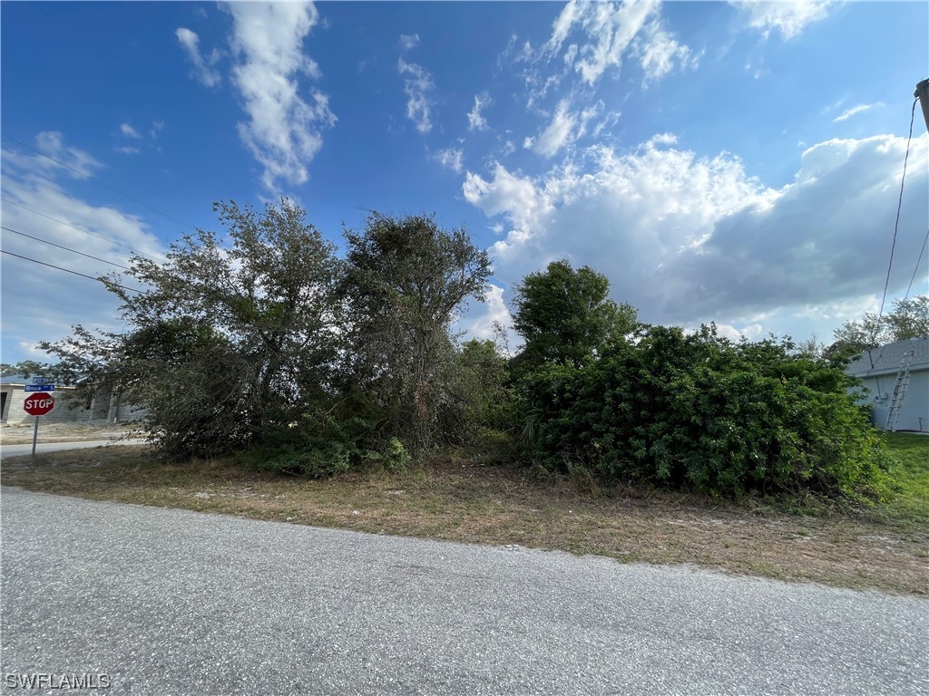 4001 25th Street SW Lehigh Acres FL 33976 223018286 image1