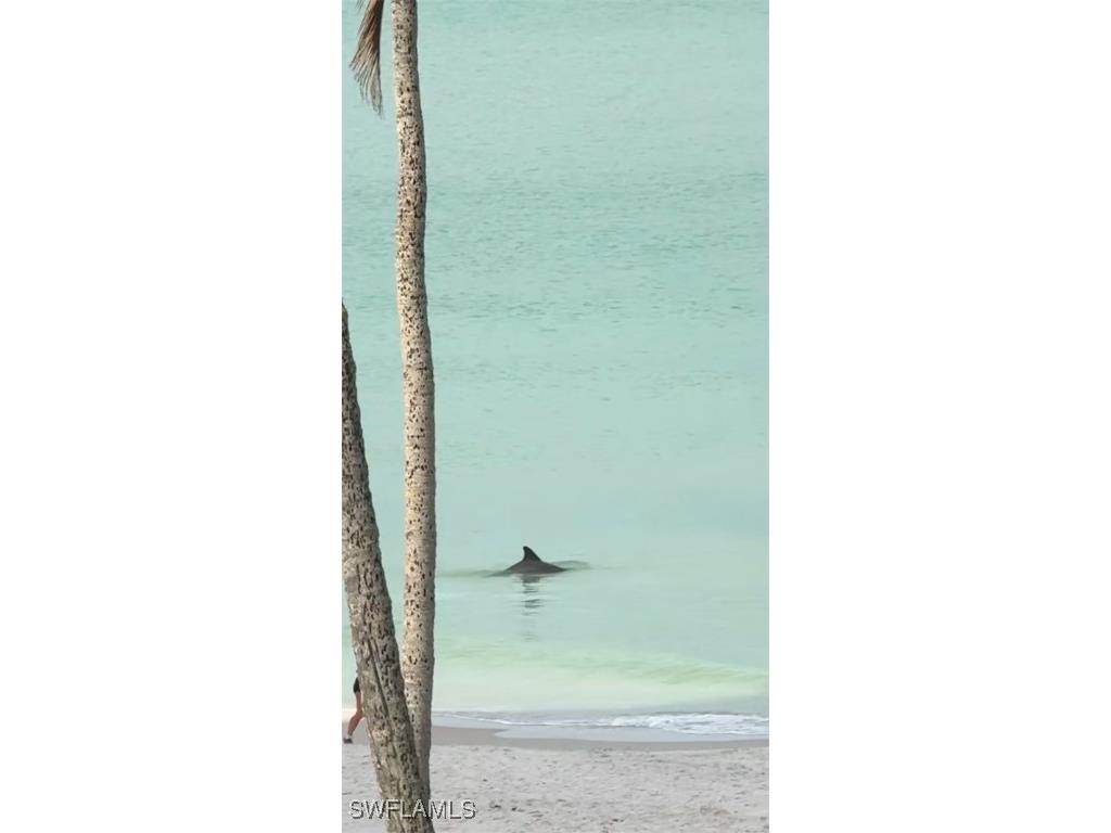 4005 Gulf Shore Boulevard N #603 Naples FL 34103 225013259 image32