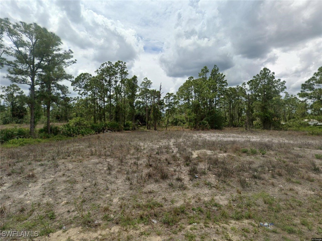 401 Fitch Avenue Lehigh Acres FL 33972 225076032 image1