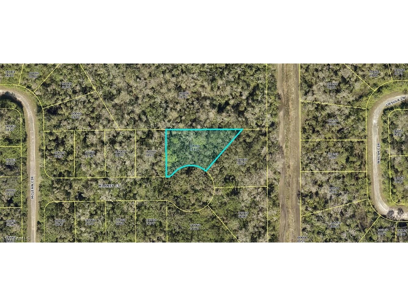 401 Marney Court Lehigh Acres FL 33972 222050317 image1