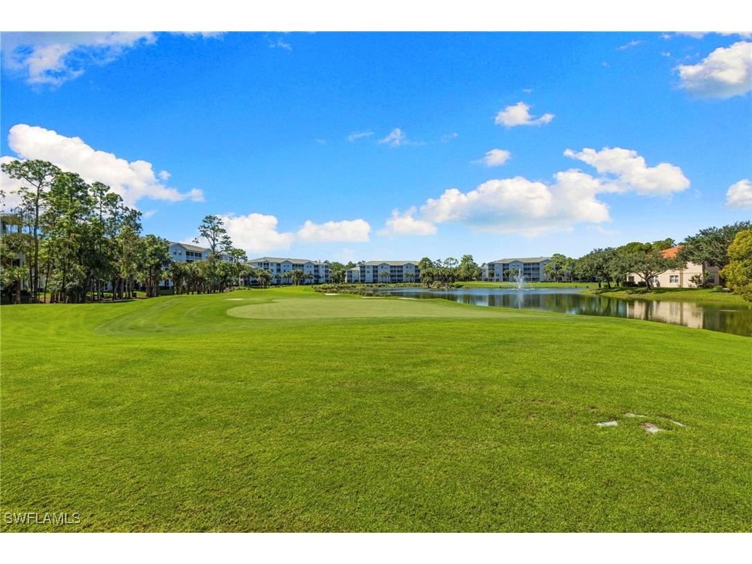 4010 Loblolly Bay Drive #303 Naples FL 34114 225075995 image39