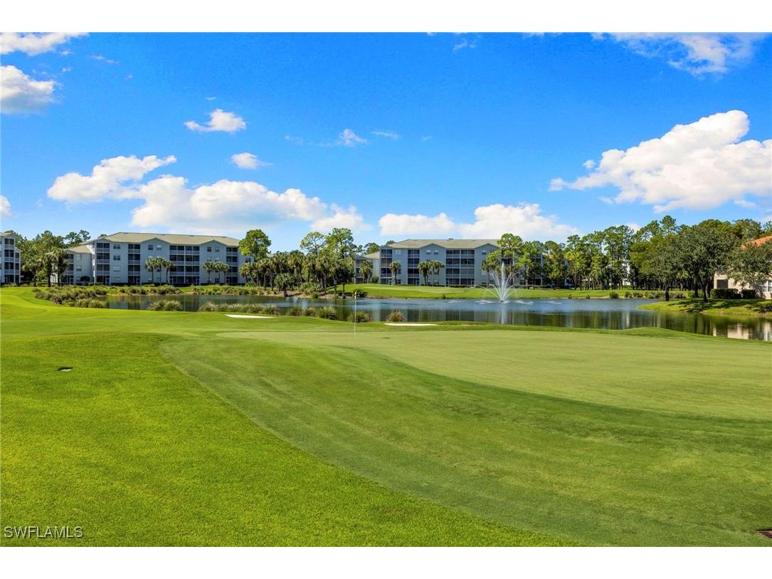 4010 Loblolly Bay Drive #303 Naples FL 34114 225075995 image41
