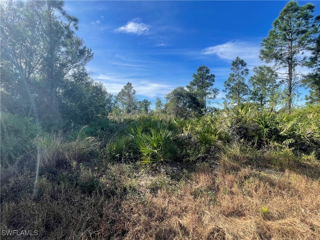 402 Eisenhower Boulevard Lehigh Acres FL 33974 224103613 image1