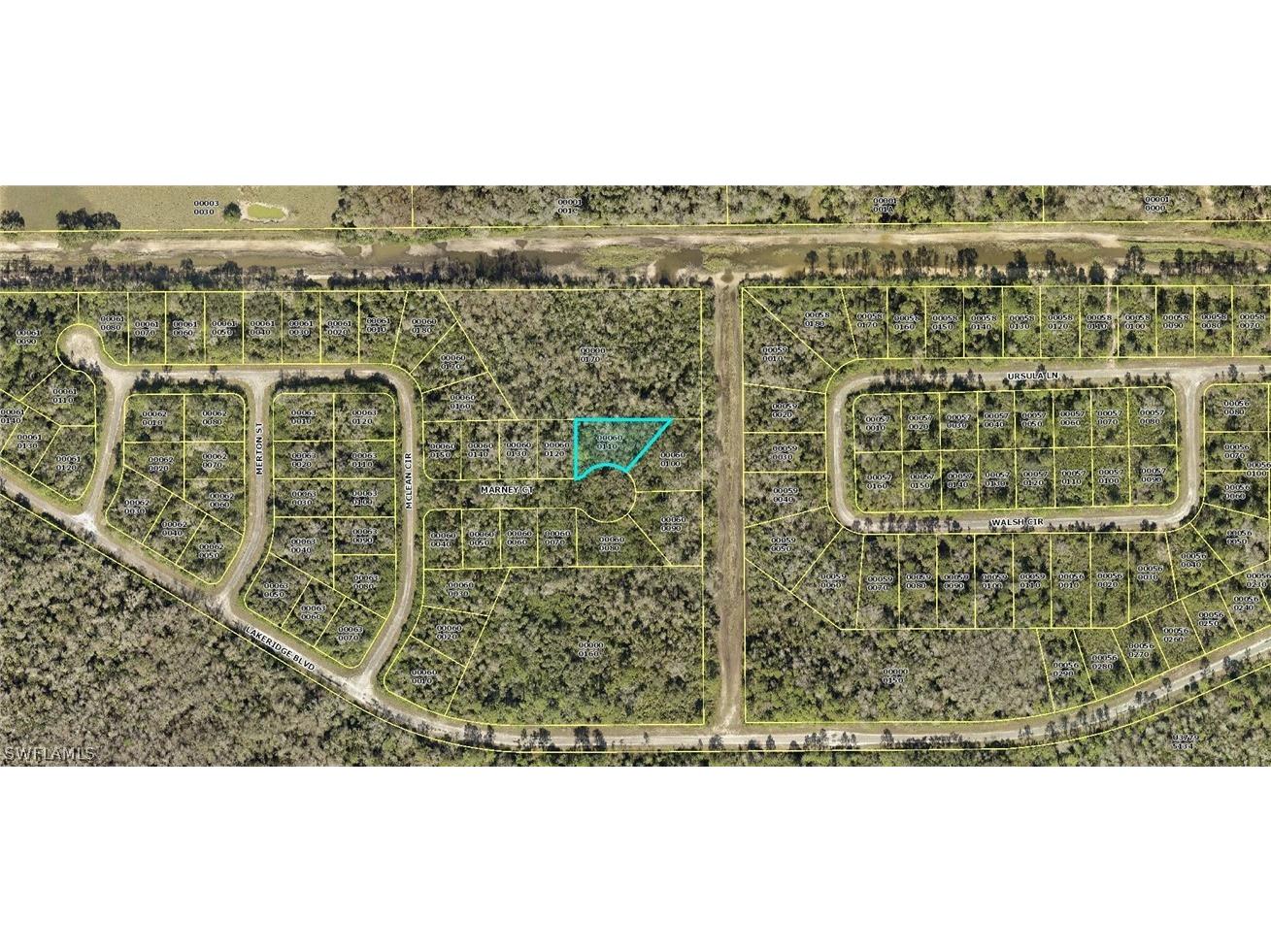 402 Marney Court Lehigh Acres FL 33972 222021756 image1
