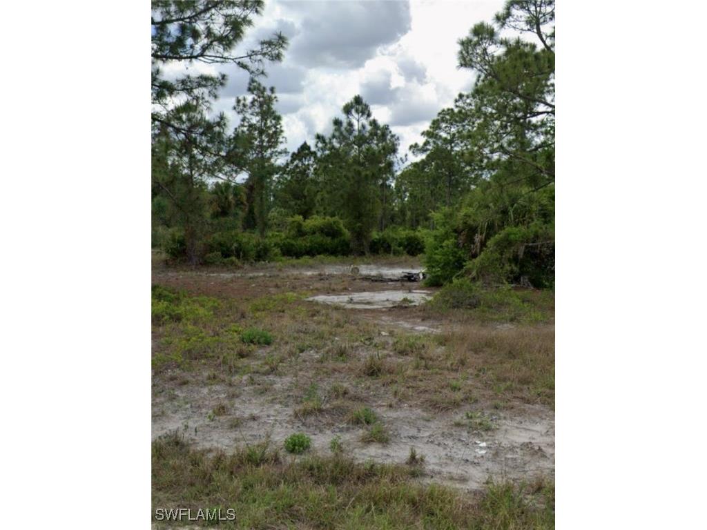 403 Scott Avenue Lehigh Acres FL 33972 225038615 image1