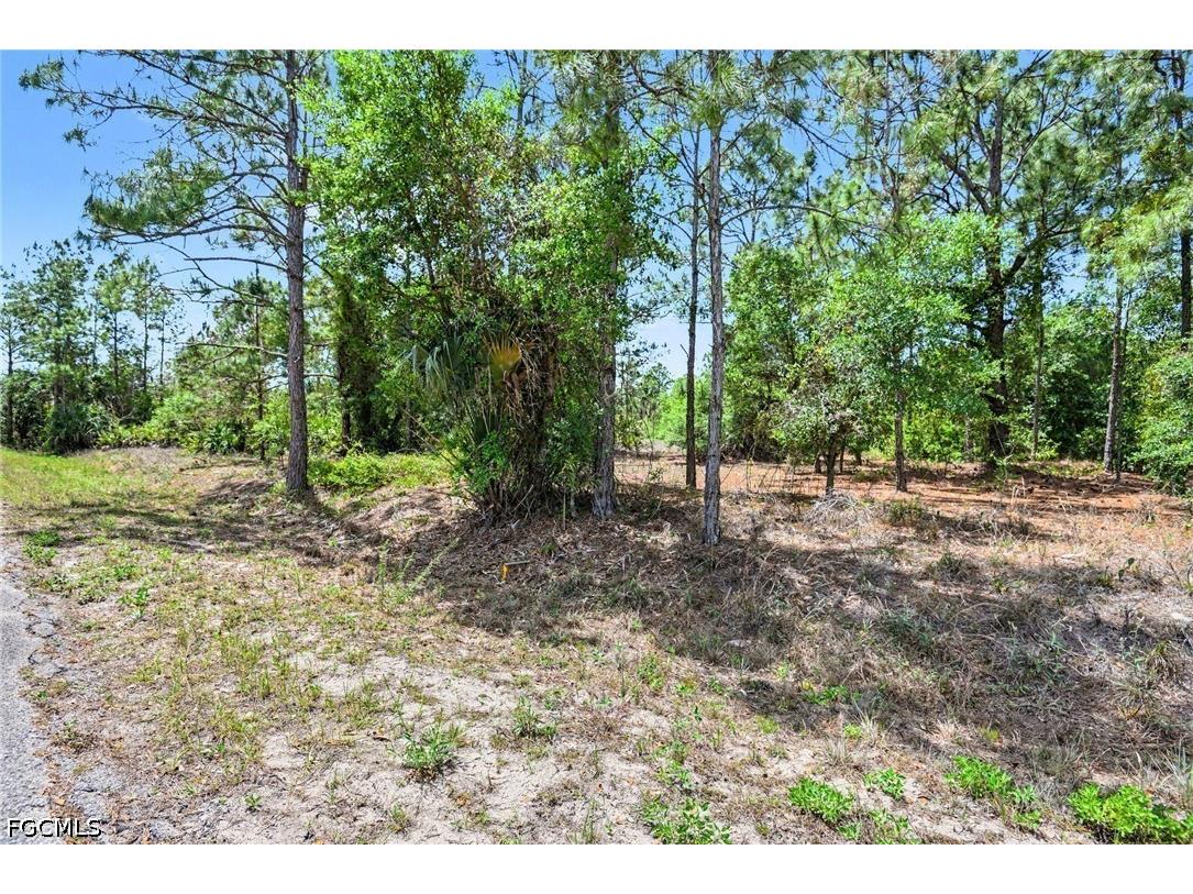 403 Wellington Avenue Lehigh Acres FL 33972 2026017211 image4